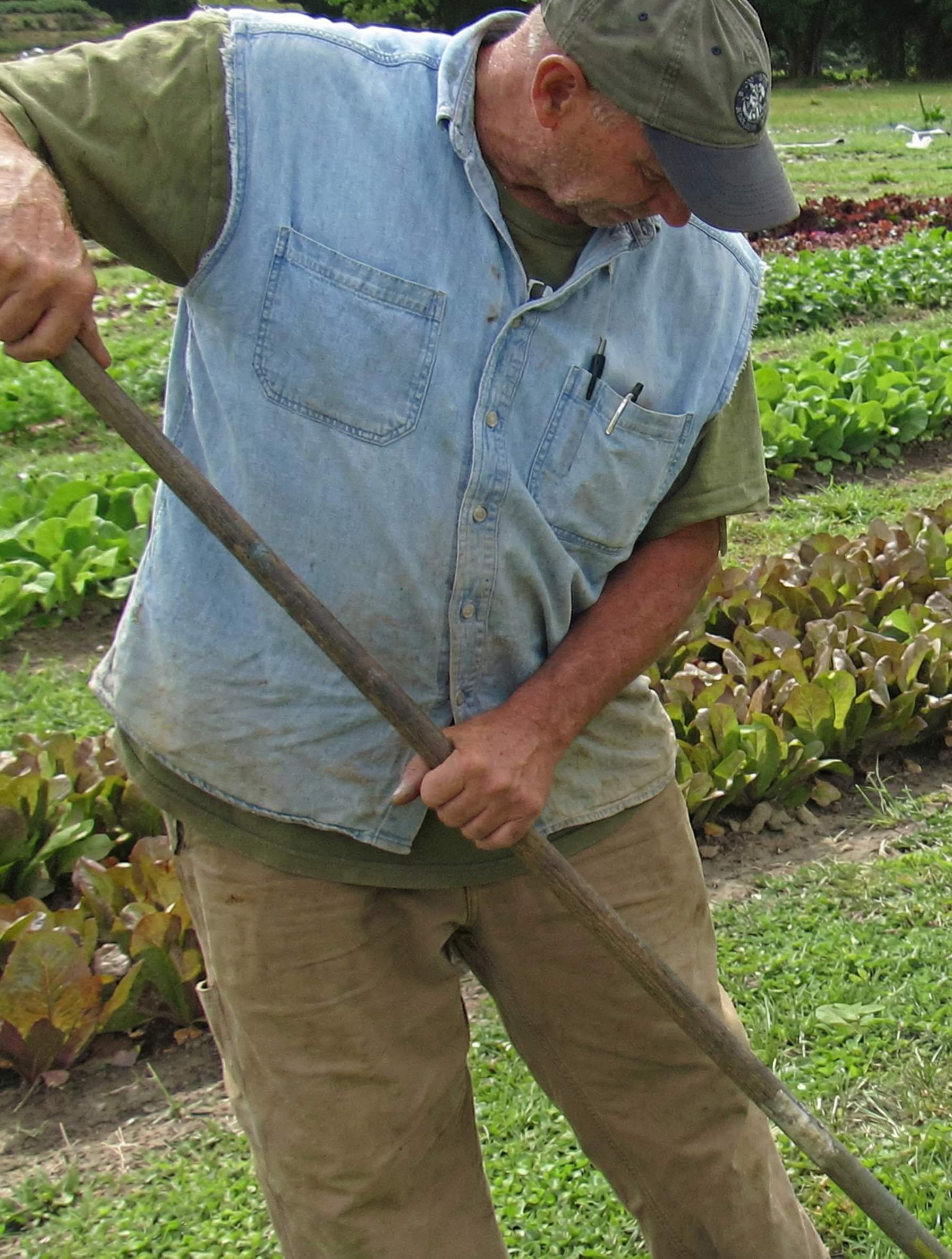Portrait of Tapahpunja das